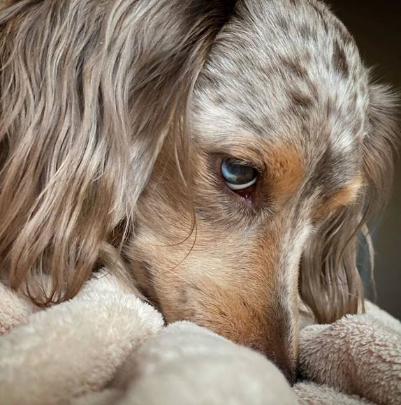 pao3714